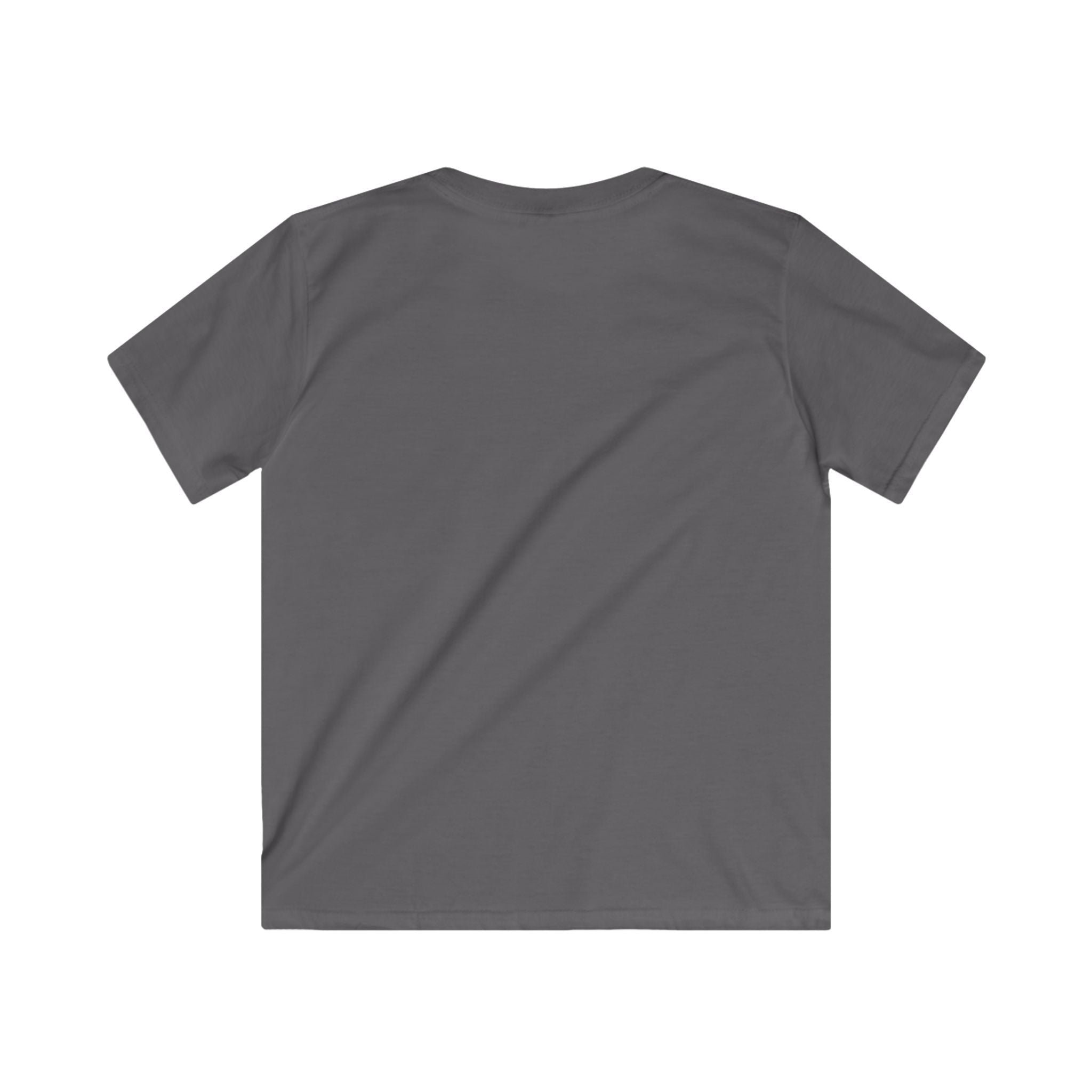 Kids Tiny Arms, Big Heart T-Shirt — Cute Sweet T-Rex Love Graphic Tee